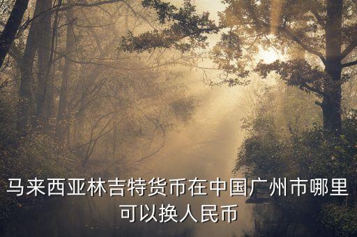 zimmerbiomet中國廣州，馬來西亞林吉特貨幣在中國廣州市哪里可以換人民幣