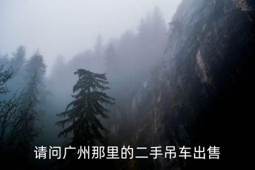 請問廣州那里的二手吊車出售