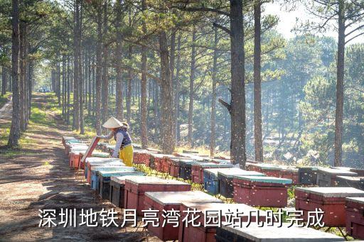 深圳地鐵11號線月亮灣公園，到月亮灣地鐵11號線在那個站下車謝了