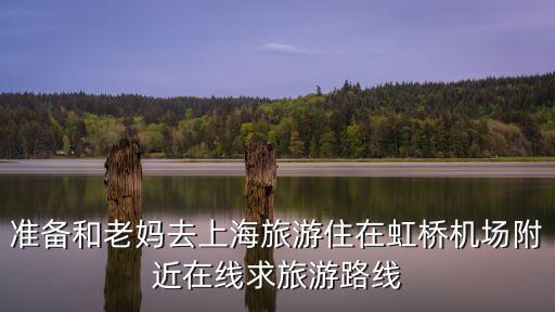 準備和老媽去上海旅游住在虹橋機場附近在線求旅游路線