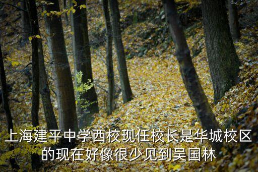上海市建平西校現任校長，上海建平中學西校現任校長是華城校區的現在好像很少見到吳國林