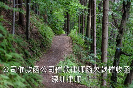 廣東深圳 陳東律師，深圳法律咨詢律師電話