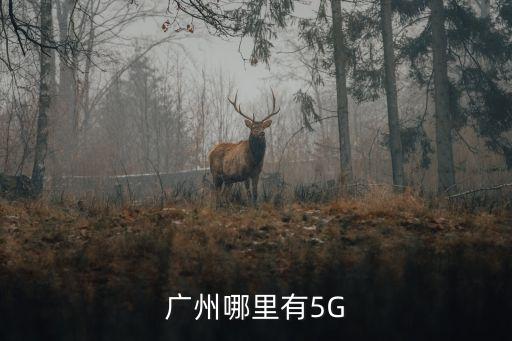 廣州移動5g信號覆蓋范圍，廣州市白云區太和鎮覆蓋了5G網絡了嗎