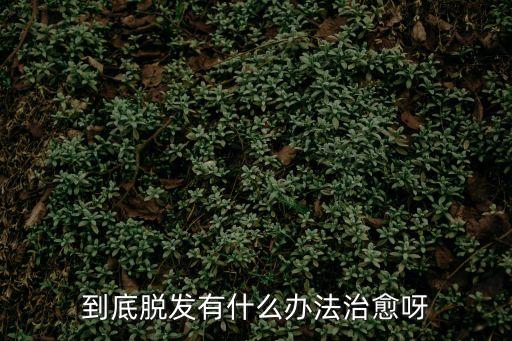 到底脫發(fā)有什么辦法治愈呀