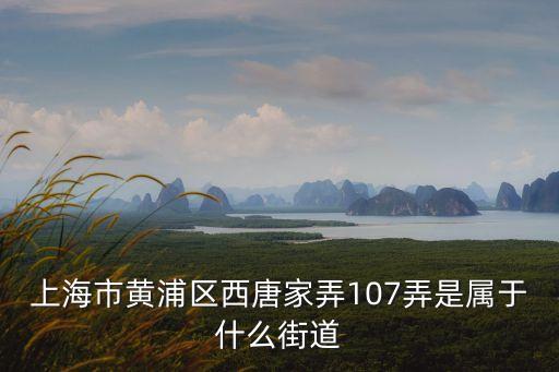 上海市黃浦區西唐家弄107弄是屬于什么街道