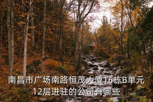 南昌市廣場南路恒茂大廈16棟B單元12層進駐的公司有哪些