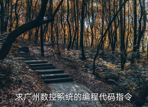 廣州帝恩斯數控系統代碼，求廣州數控系統的編程代碼指令