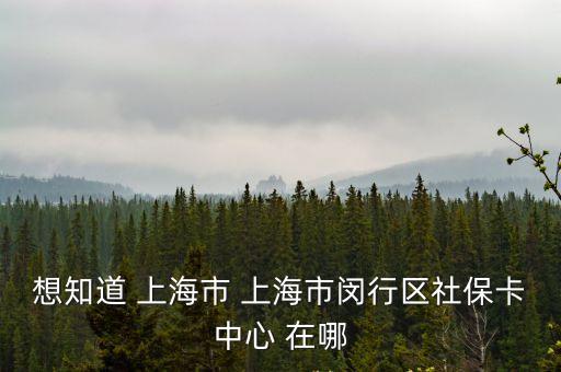 上海市閔行區社區住房保障服務，閔行區龍柏新村社保中心社區網點在哪里