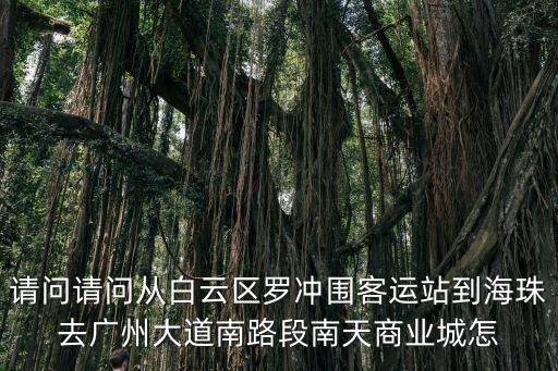 請問請問從白云區羅沖圍客運站到海珠去廣州大道南路段南天商業城怎