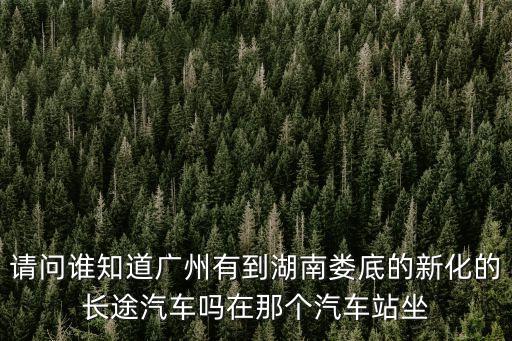 請問誰知道廣州有到湖南婁底的新化的長途汽車嗎在那個汽車站坐