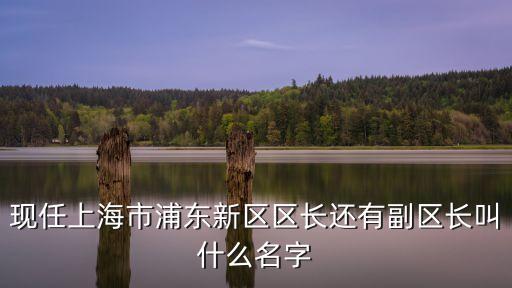 上海市沈區長，1939年軍統局在上海的區長是誰