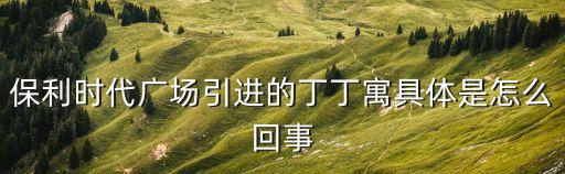 保利時代廣場引進的丁丁寓具體是怎么回事