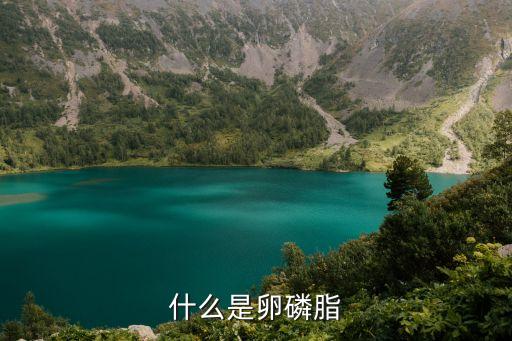 什么是卵磷脂