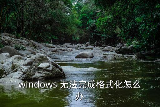 無(wú)法完成格式化，windows 無(wú)法完成格式化怎么辦