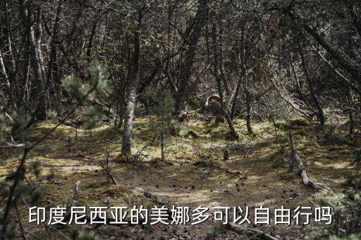 印度尼西亞的美娜多可以自由行嗎