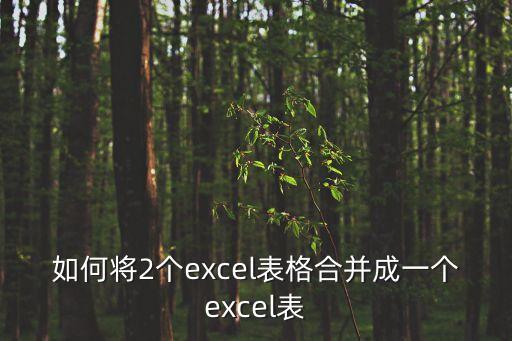 如何將2個(gè)excel表格合并成一個(gè)excel表