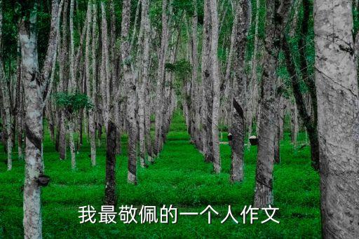 我最佩服的一個(gè)人，我最佩服的一個(gè)人作文400字