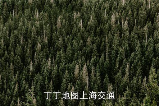 上海市駕駛員交通圖，丁丁地圖上海交通
