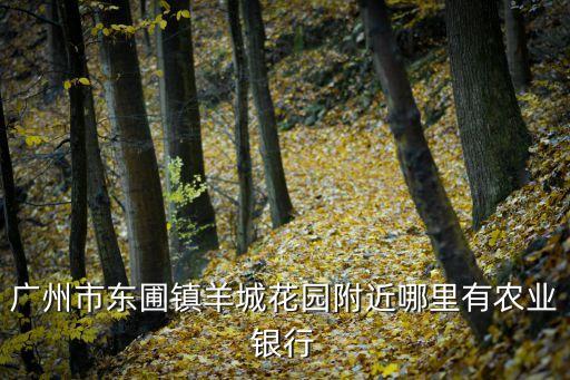 廣州市東圃鎮羊城花園附近哪里有農業銀行