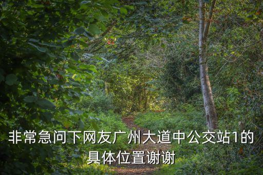 江月路廣州大道中路，廣州亞運(yùn)閉幕式哪里封路