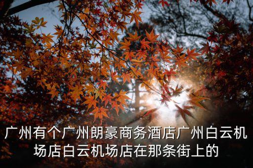 廣州有個廣州朗豪商務酒店廣州白云機場店白云機場店在那條街上的