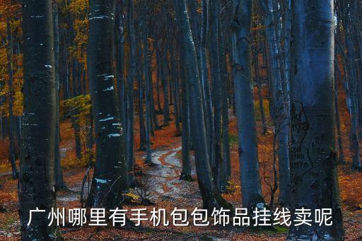 廣州哪里有手機包包飾品掛線賣呢