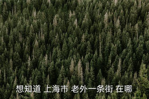 上海市外國人喜歡去的一條街，想知道 上海市 老外一條街 在哪