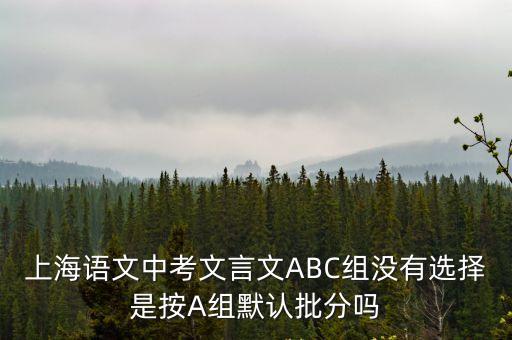上海語(yǔ)文中考文言文ABC組沒(méi)有選擇是按A組默認(rèn)批分嗎