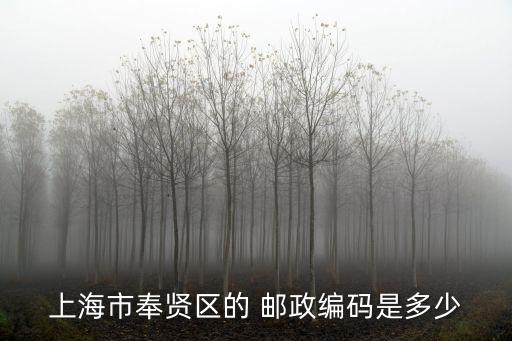 上海市奉賢區青村上塑路郵編，上海市奉賢區的 郵政編碼是多少