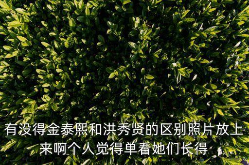 有沒得金泰熙和洪秀賢的區(qū)別照片放上來啊個人覺得單看她們長得