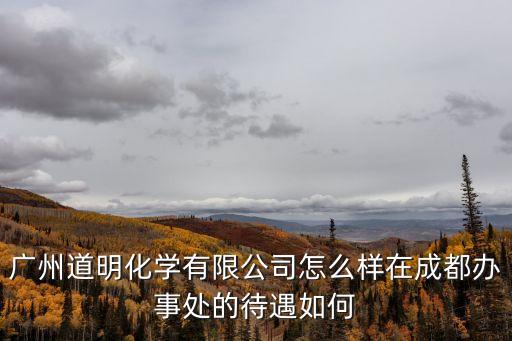 廣州化學(xué)有限公司領(lǐng)導(dǎo)，廣州道明化學(xué)有限公司怎么樣在成都辦事處的待遇如何