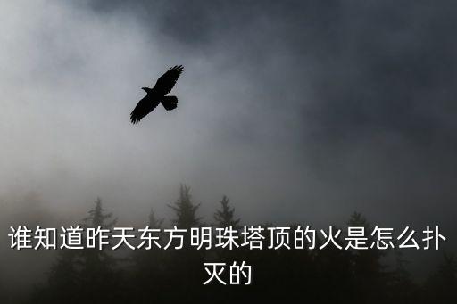 廣州西塔頂層大火，廣州西塔封頂了嗎