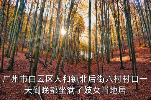 廣州市白云區(qū)人和鎮(zhèn)北后街六村村口一天到晚都坐滿了妓女當?shù)鼐? class=