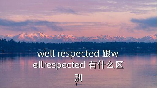 well respected 跟wellrespected 有什么區(qū)別