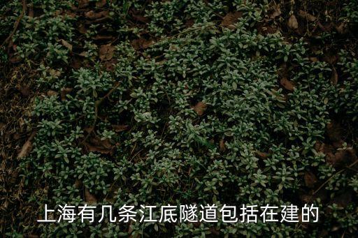 上海市獲得電力掘路，上海浦東地區最近一直在挖路誰知道是干什么用的