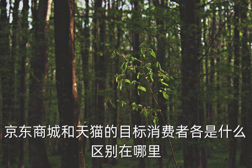 目標(biāo)消費者，目標(biāo)顧客名詞解釋是什么