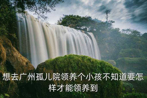 想去廣州孤兒院領(lǐng)養(yǎng)個(gè)小孩不知道要怎樣才能領(lǐng)養(yǎng)到