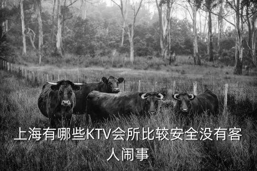 上海市豪情伯爵ktv，上海豪情會(huì)所ktv要交錢才能上班是不是騙人的