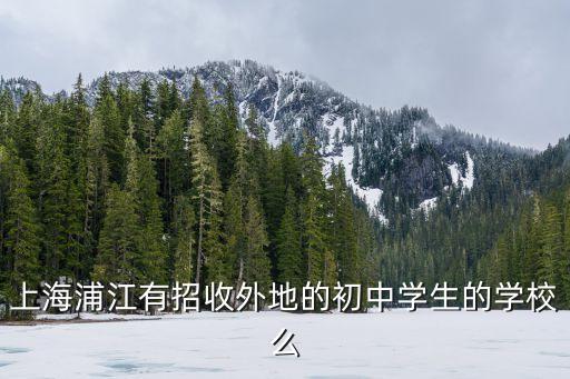 上海浦江有招收外地的初中學生的學校么