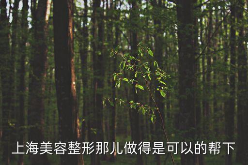 柏悅醫療美容地址上海市，上海美容整形那兒做得是可以的幫下