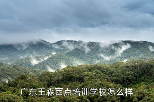 廣州王森西點好不好，廣東王森西點培訓學校怎么樣