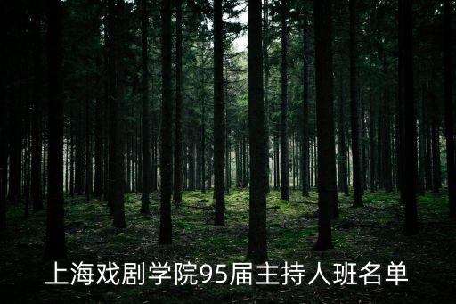上海市戲曲學(xué)校老師列表，上海戲劇學(xué)院95屆主持人班名單