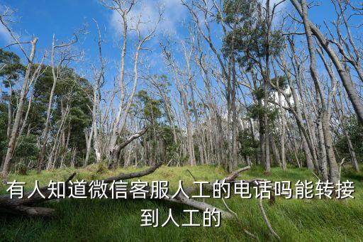 有人知道微信客服人工的電話嗎能轉接到人工的