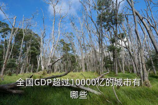 上海市g(shù)dp過萬億城市，全國GDP超過10000億的城市有哪些