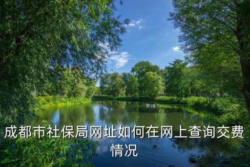 成都市社保局網址如何在網上查詢交費情況