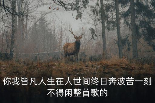 凡人歌詞，因為我是凡人英文歌名