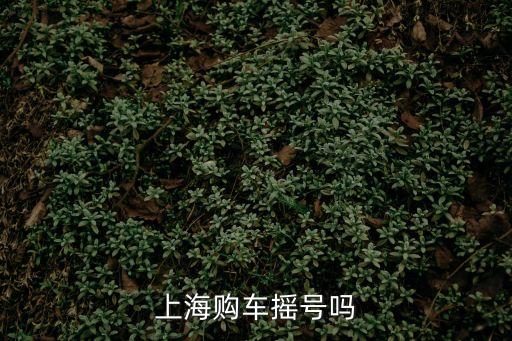 上海市內車上牌搖號嗎，上海轎車上戶牌照隨搖號嗎