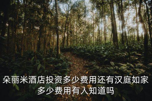 廣州瑰麗酒店投資多少，朵麗米酒店投資多少費用還有漢庭如家多少費用有人知道嗎