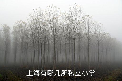 上海市前四私立小學，上海有哪幾所私立小學