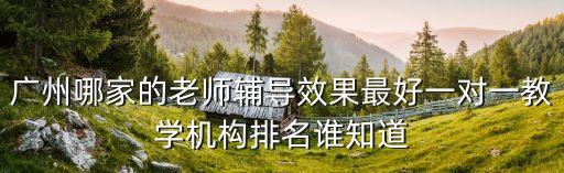 廣州市禺山中學 最牛的老師，廣州哪家的老師輔導效果最好一對一教學機構排名誰知道